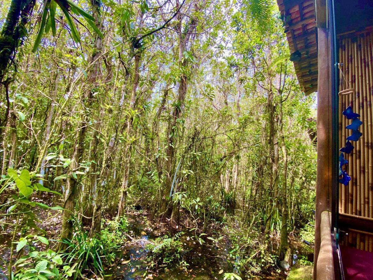 Maresias, Chale H29 Em Condominio De Frente A Entrada 18 Da Praia E Dentro Da Mata Atlantica Сан-Себастьян Экстерьер фото